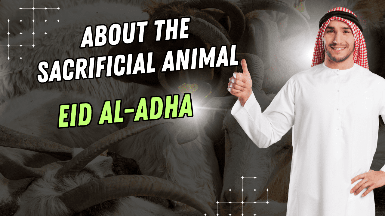 Eid Al Adha Holidays